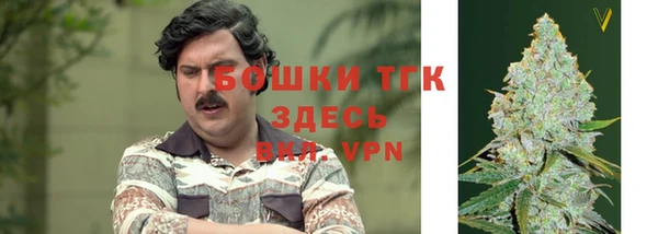 меф Корсаков