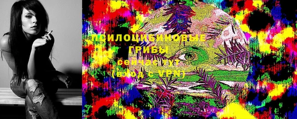 меф Корсаков