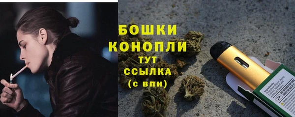 дживик Коряжма